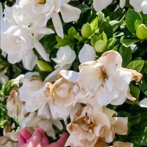 READ! ABOUT MY CLOSET!